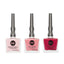ROSE COLLECTION